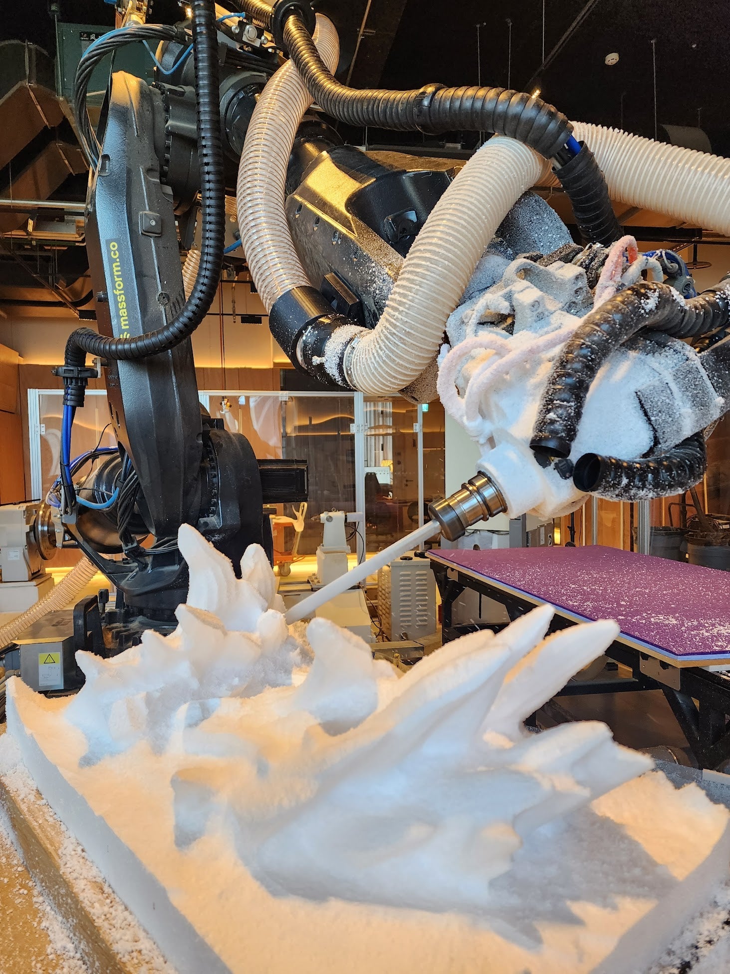 robotic arm in massform